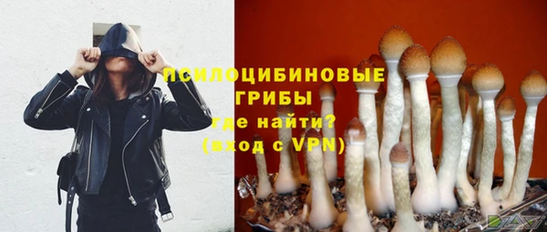 COCAINE Михайлов