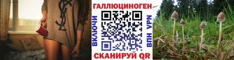 Купить где  Чита  Псилоцибиновые грибы MAGIC MUSHROOMS 